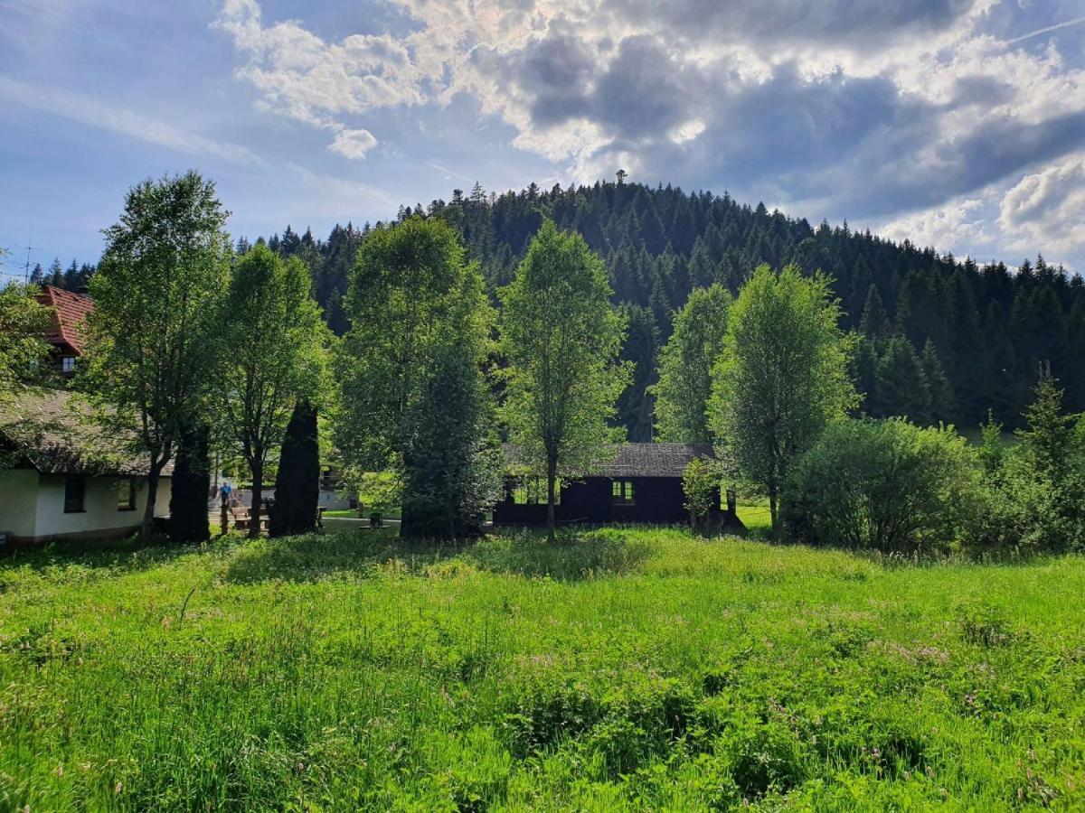 Finkenhof Hotel Schluchsee Luaran gambar