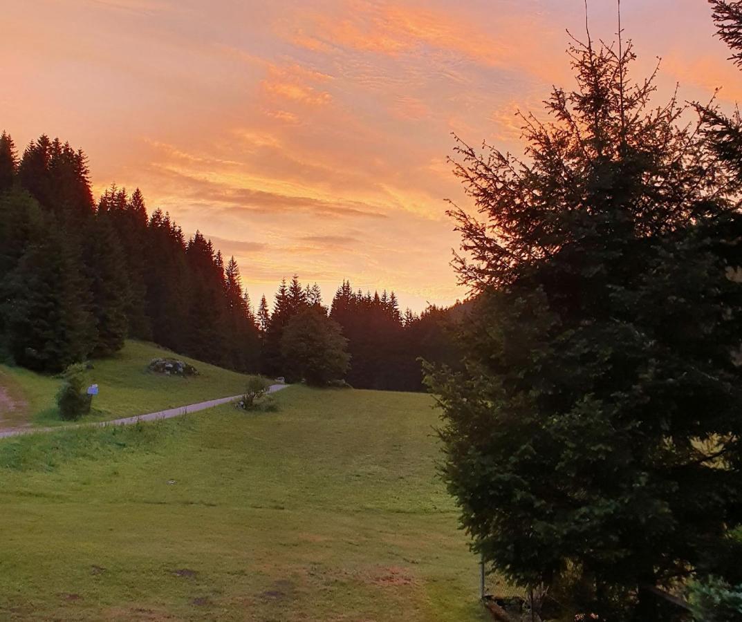 Finkenhof Hotel Schluchsee Luaran gambar